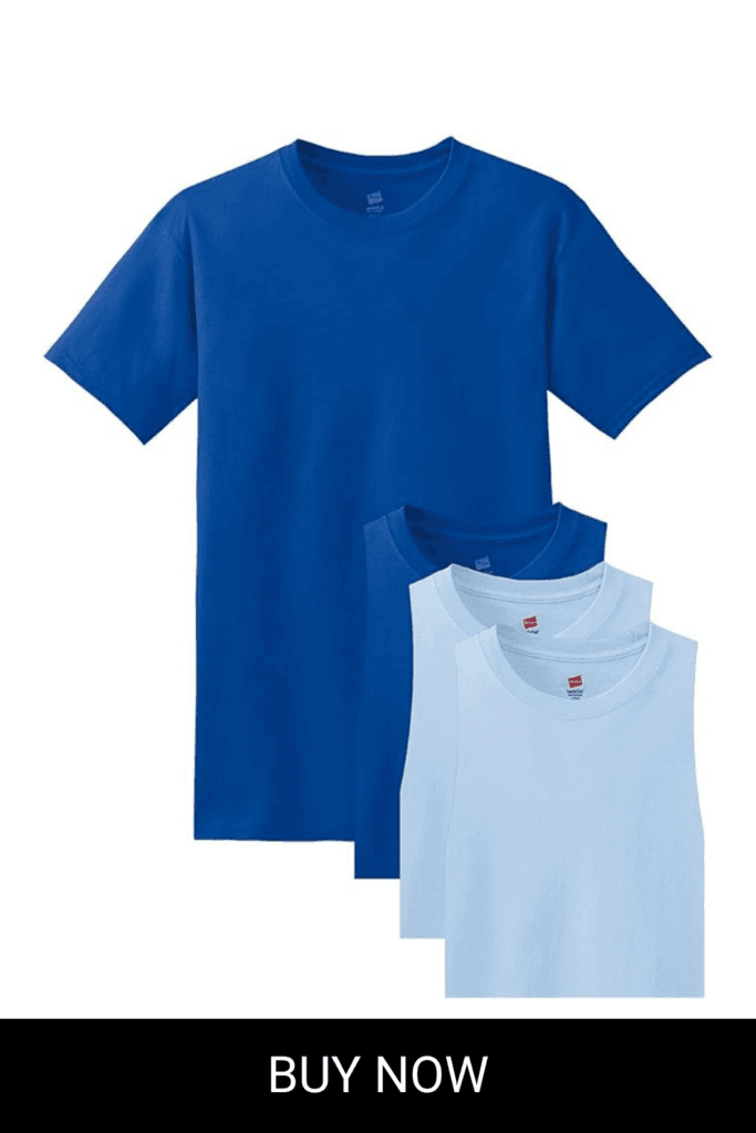 Hanes ComfortSoft Short Sleeve Crew Neck T-Shirts (Pack 0f 4 2 Royal Blue, 2 Light Blue)