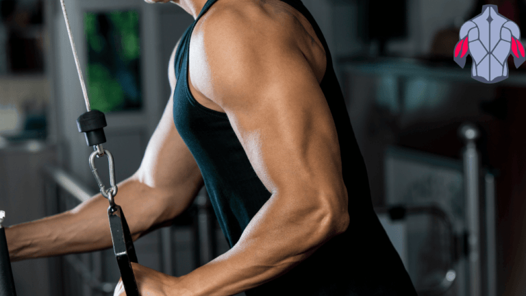 best tricep exercises