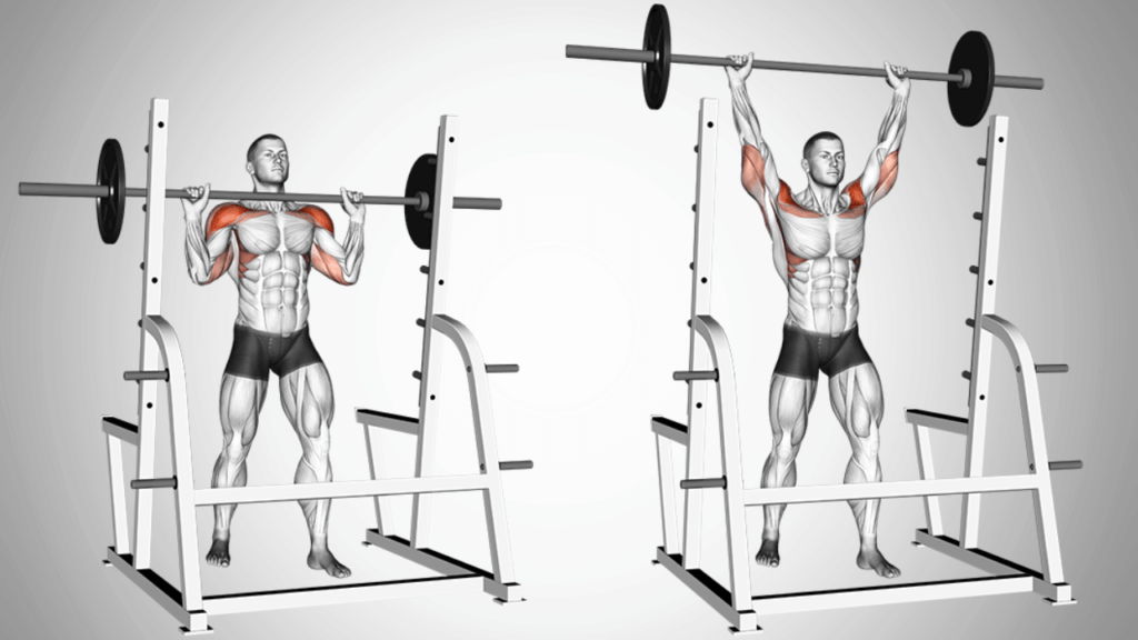 Sculpted Shoulders - Standing Military Press