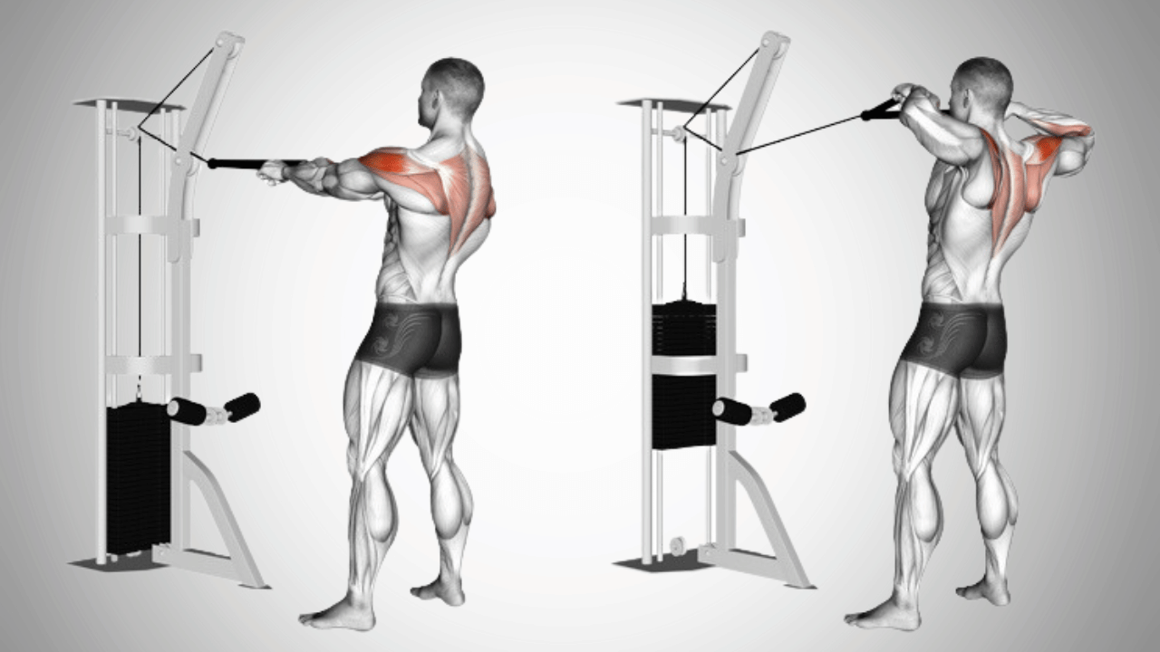 Tricep and Shoulder Isolation Workout for Mass