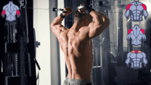 tricep and shoulder workout