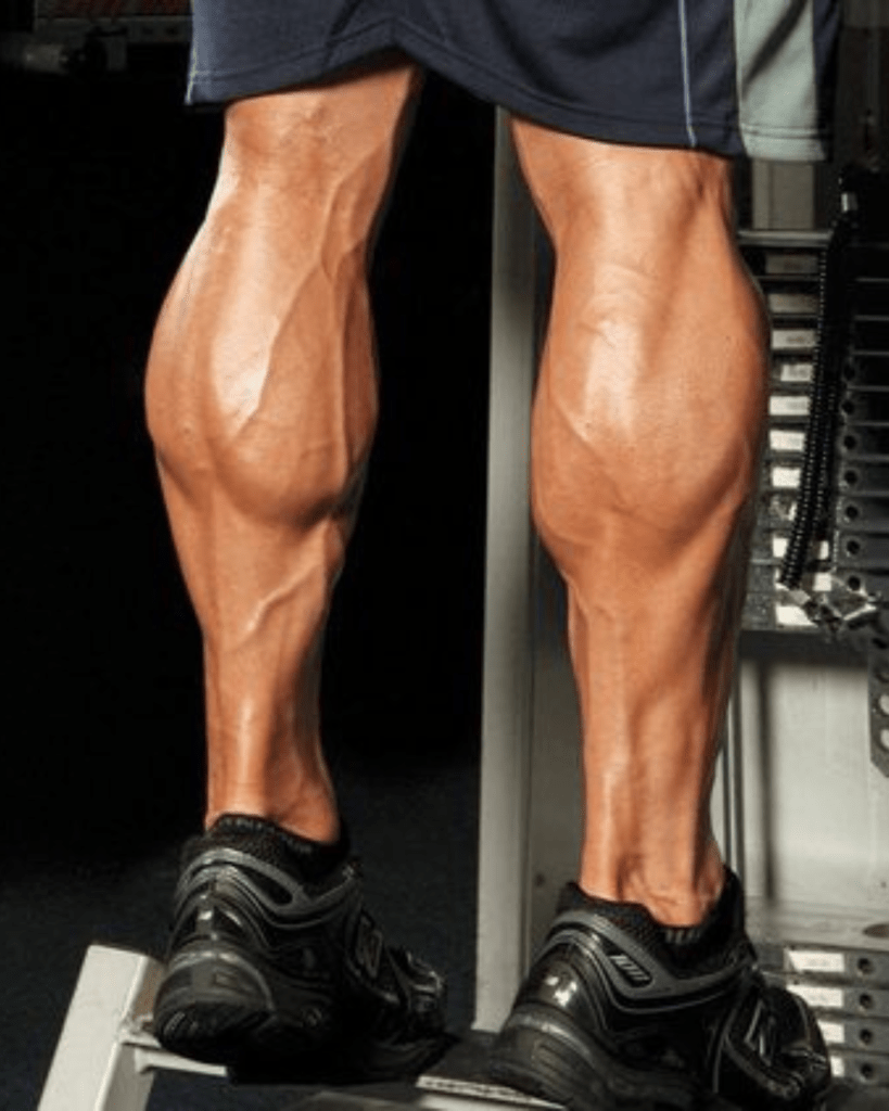 5 Killer Leg Workouts for Toned Muscles! - Men's Dream Lifestyle