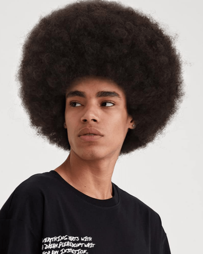 Brown Afro Wigs for Men Short Curly Wigs Kinky Fancy Funny 70s 80s Wigs Disco Rocker Wig Halloween Party Costume Wig (Dark Brown)