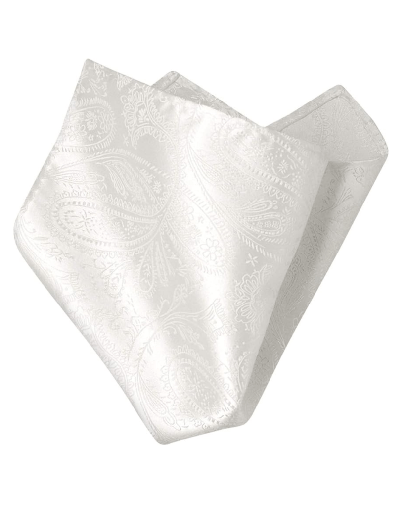 Vesuvio Napoli OFF WHITE IVORY PAISLEY Handkerchief Pocket Square Hanky Men's Handkerchiefs