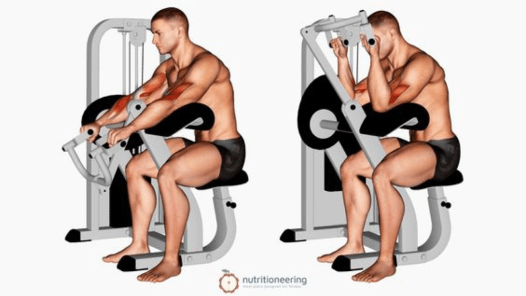 Iso-Lateral Curl Machine for bicep workouts