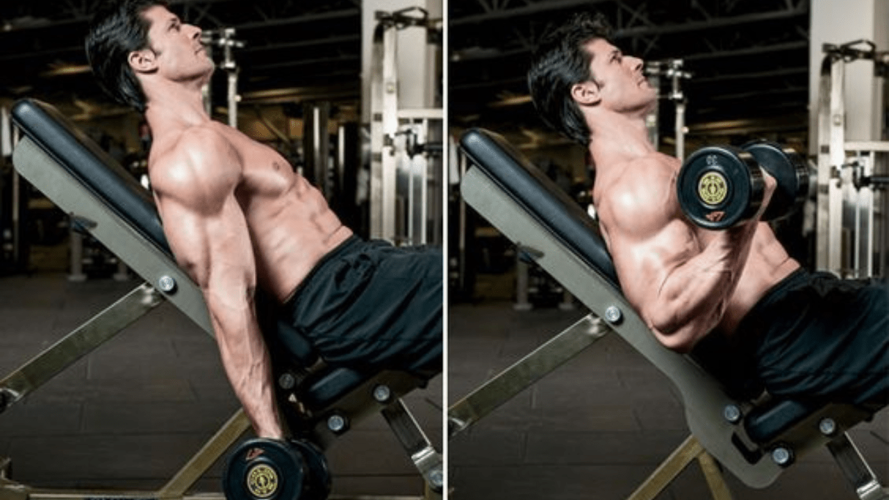 30 Best Bicep Workouts For Men and How to Do It - Men's Dream Lifestyle