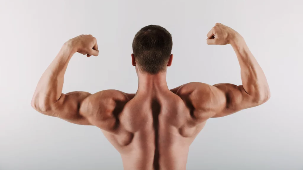30 Best Shoulder Exercises For Men and How to Do It