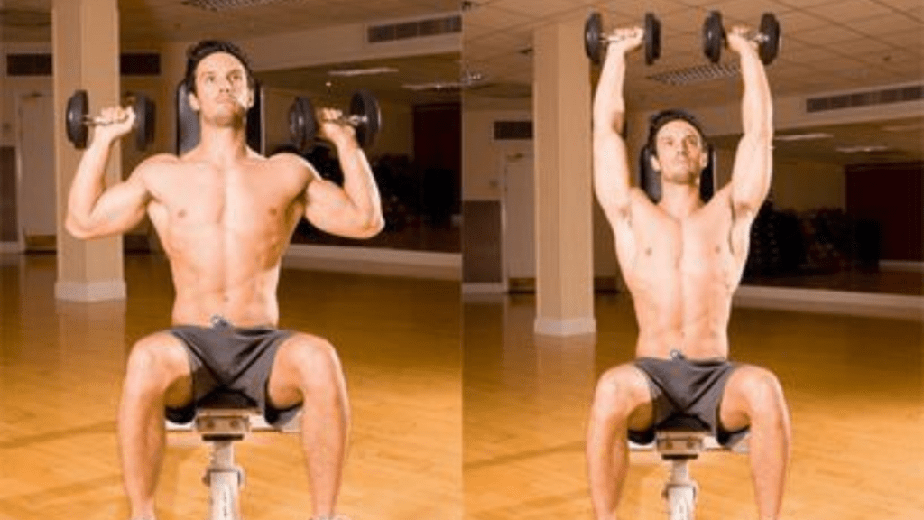 Seated Dumbbell Shoulder Press