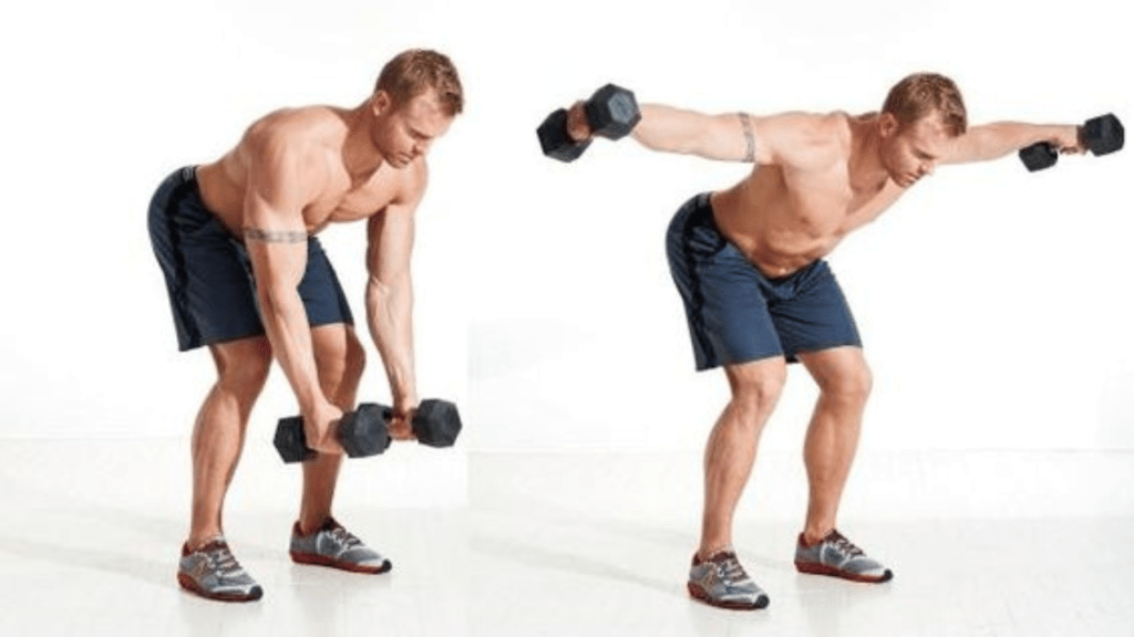 Bent-Over Dumbbell Reverse Fly