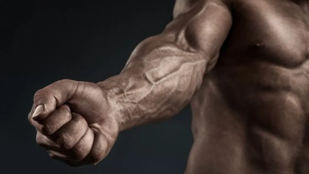 15 Best Forearm Workouts for Men and How to Do It