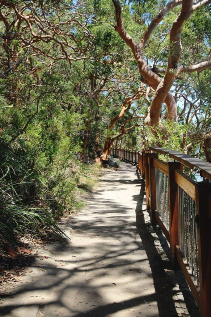 Sydney Harbour National Park: things to do in sydney