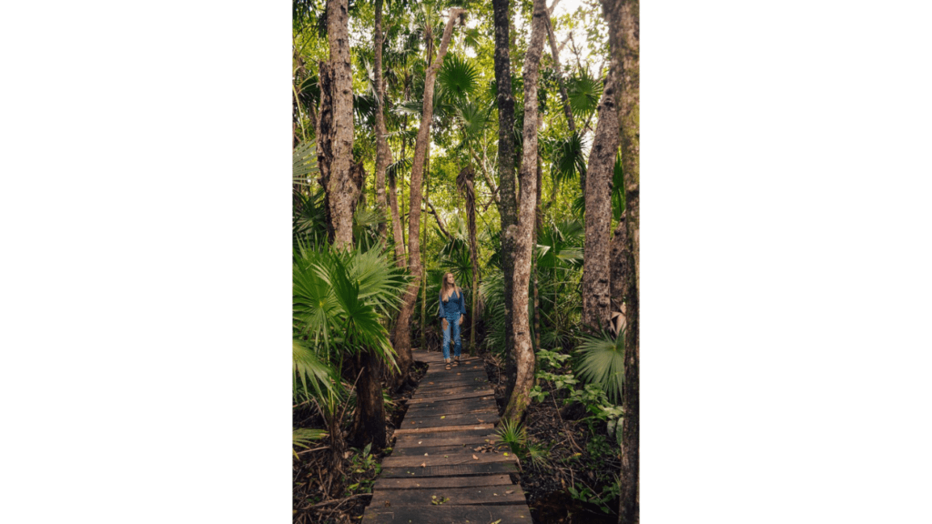 10 Must-Do Activities You Can’t Miss in Tulum Mexico!