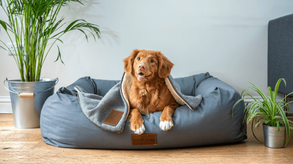 25 Low-Cost Business Ideas With High Profit You Can Start Today!