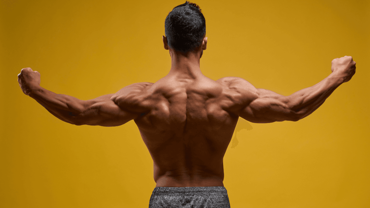 How to Grow Your Back Fast | Best Exercises & Muscular Back​
