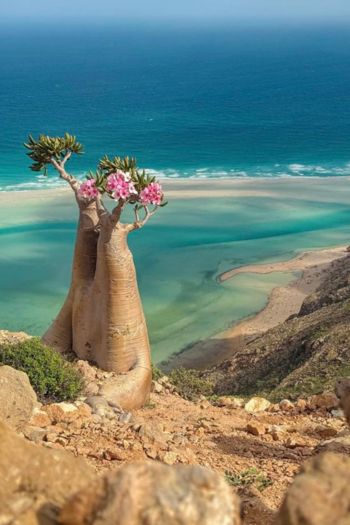 100 Best Place to Vist in the World | Ultimate Travel Bucket List